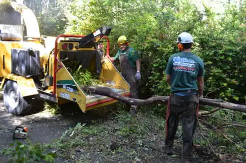 tree services Rialto